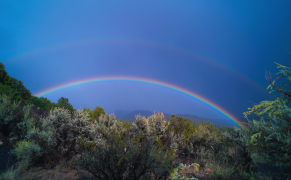 ծիածան 26 ցուցակ